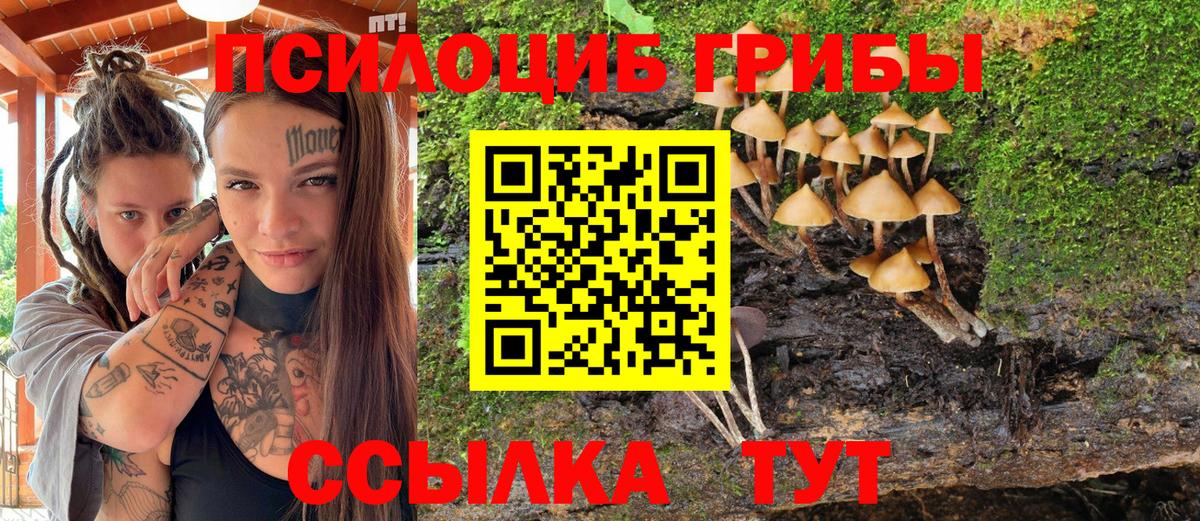 Галлюциногенные грибы Magic Shrooms  Вход с VPN  Галлюциногенные грибы мухоморы  Киселёвск 